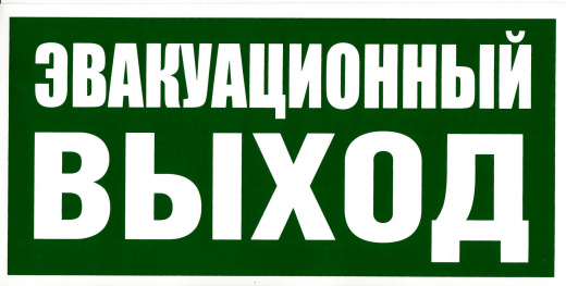 Знак Эвакуационный выход Е24 фотолюминесцентная 150х300 пластик
